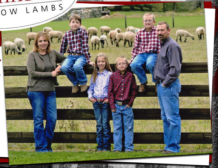 Johnson Show Lambs