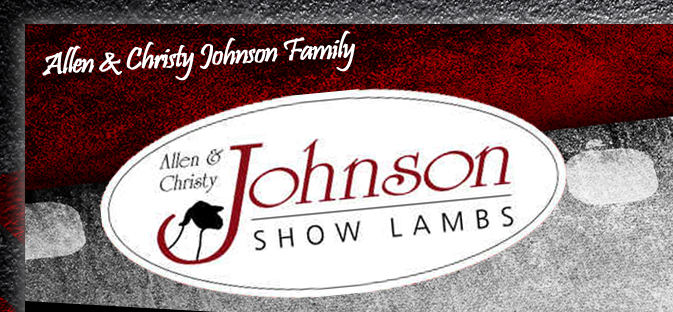 Johnson Show Lambs